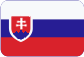 BDI Czech s.r.o. Slovensky